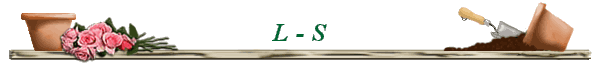 L - S